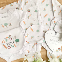 Baby Boy Baby Gift (7 Items) Grow Little One Baby Gift