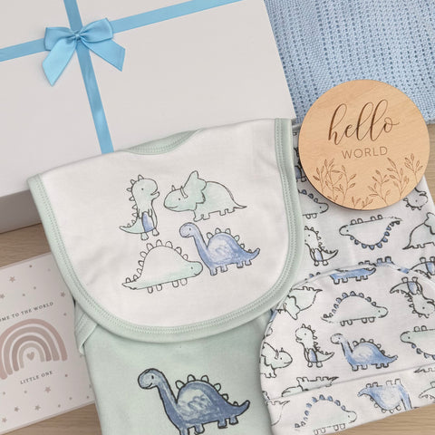 Baby Boy Baby Gift Hamper ( 7 Items)  Little Dino New Baby Gift
