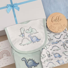 Baby Boy Baby Gift Hamper ( 7 Items)  Little Dino New Baby Gift