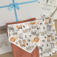 Baby Boy Baby Gift Hamper (7 Items) Fun Friends New Baby Gift