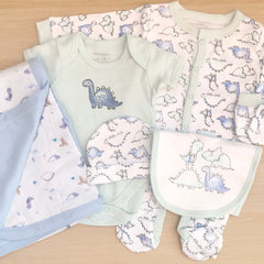 Baby Boy Baby Gift Hamper ( 6 Items)  Little Dino New Baby Gift