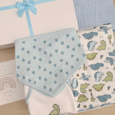New Baby Boy Baby Gift Hamper ( 7 Items)  Little Dino New Baby Gift