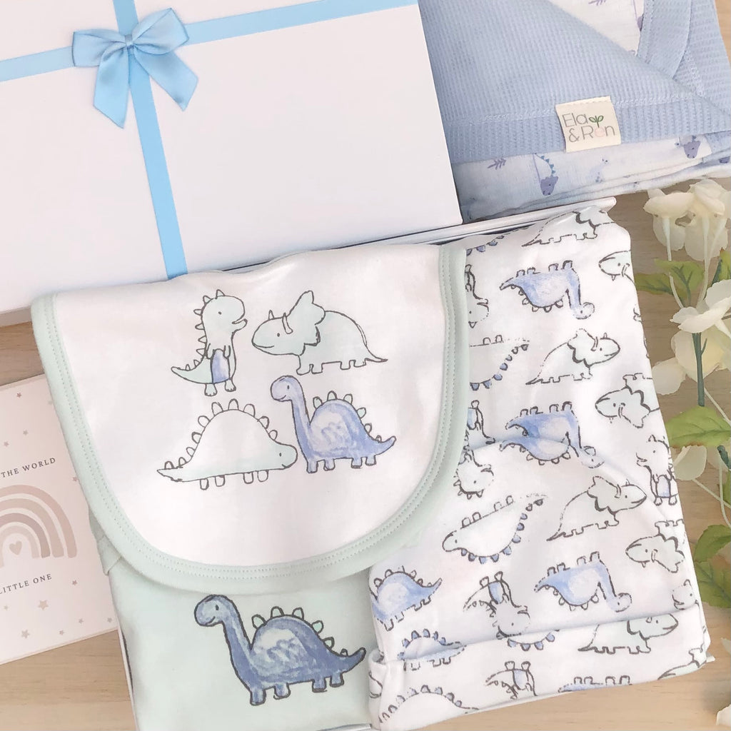 Baby Boy Baby Gift Hamper ( 6 Items)  Little Dino New Baby Gift